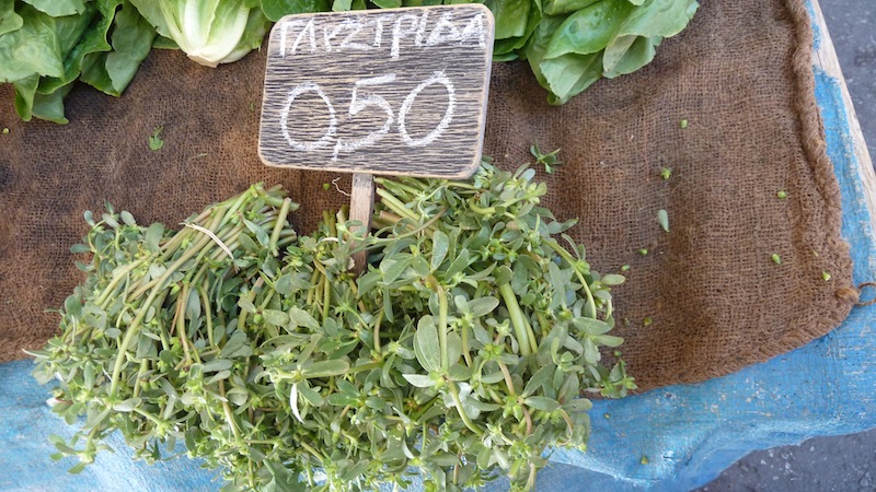 Laiki 35.JPG